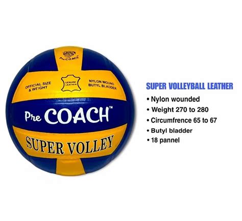 Yellow N Blue Leather Pasted Volleyball Size At In Jalandhar