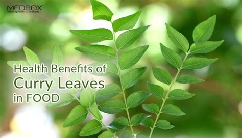 Health Benefits Of Curry Leaves In Foods