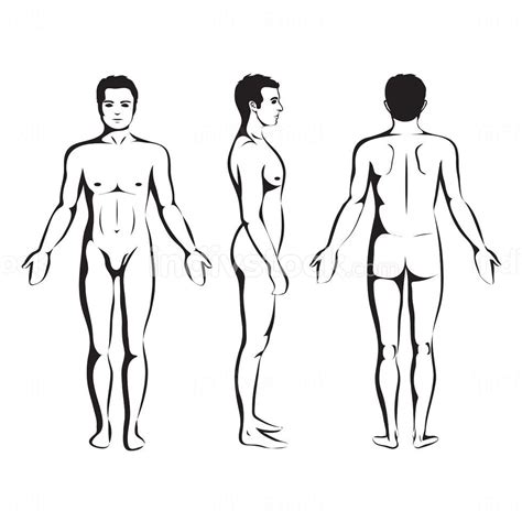 Human Outline Side