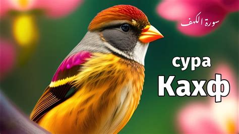 Сура Кахф слушайте каждую пятницу, сегодня это сунна! #quran #коран # ...