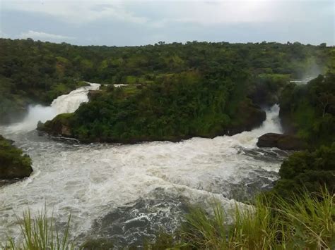 Where The Great Nile River Splits Into Two Falls Murchison Falls And