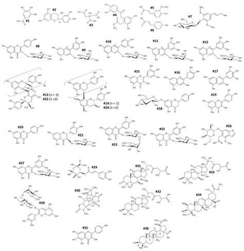 Antioxidants Free Full Text Bioactive Compounds And Antioxidant