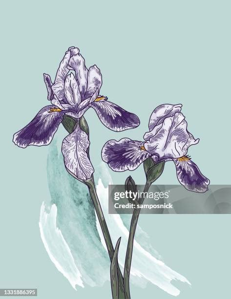 851 Iris Texture Stock Photos, High-Res Pictures, and Images - Getty Images