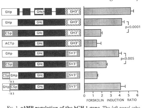 Figure From T W O Cgtca Motifs And A Ghflpitl Binding Site Mediate