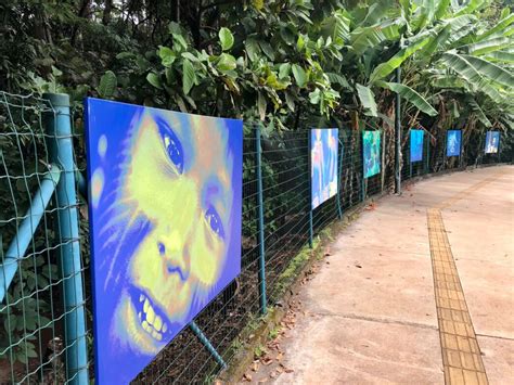 cultura PARQUE BOSQUE DOS BURITIS RECEBE EXPOSIÇÃO FOTOGRÁFICA CORRE