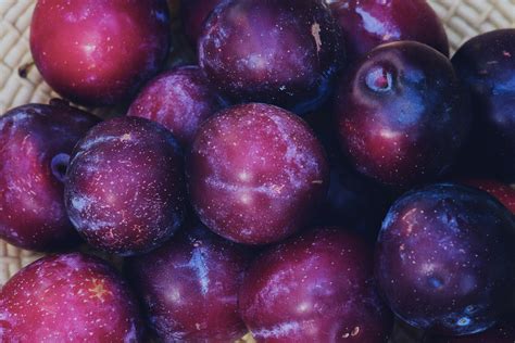 Free Images Fruit Berry Food Produce Plum Fruits Plums