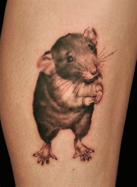 30 Cool Rat Tattoo Ideas For You