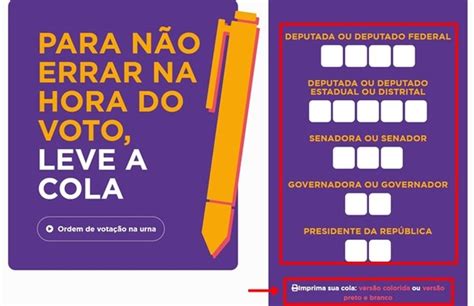 Elei Es Como Fazer E Imprimir Cola Eleitoral Na Ordem De Vota O