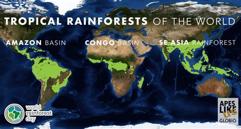 Tropical Rainforest Map