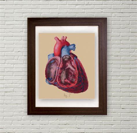 Anatomical Human Heart Cross Stitch Pattern PDF Cut Away View Etsy