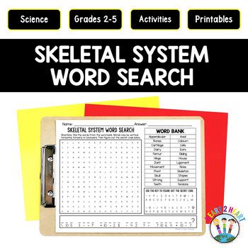 Skeletal System Word Search Puzzle Human Body Systems Activities Worksheets