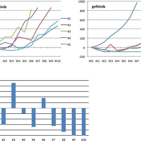 HCC827 Human Tumor Xenografted In Nude Mice And Treated With Erlotinib