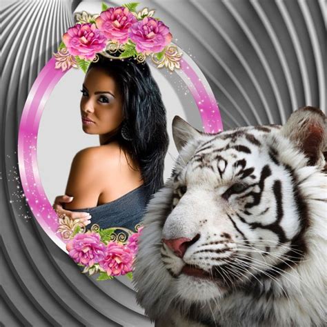 It SMichelle S Wildlife Frames Beautiful Tiger Wildlife Tiger