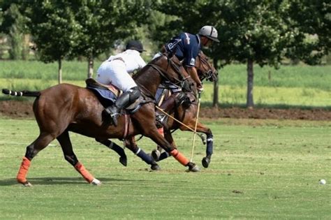 Acquedotto Romano Conquista Il Titolo Di Campione D Italia Di Polo 2024