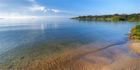 The Worlds Special Gem Lake Victoria Lakehub