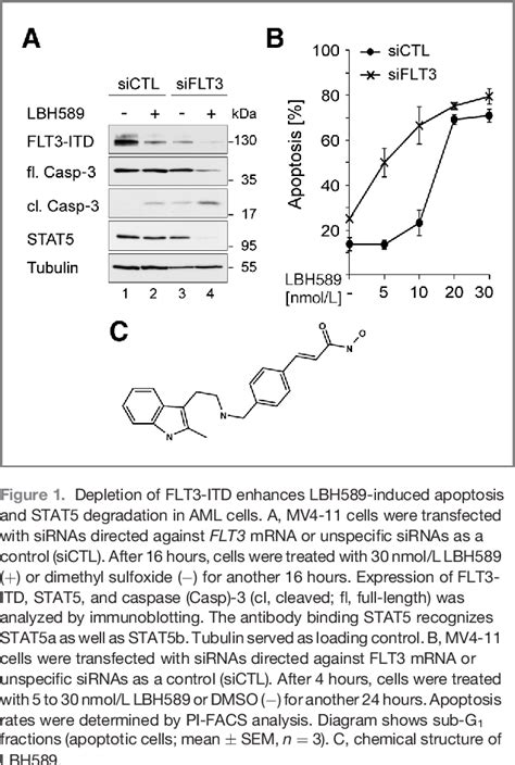 Figure 1 From Breakdown Of The FLT3 ITD STAT5 Axis And Synergistic