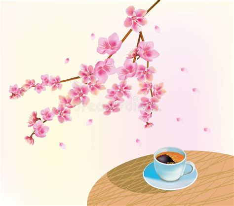 Sakura . Tea ceremony. stock illustration. Illustration of east - 39495860