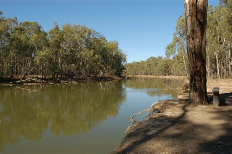 Barmah National Park