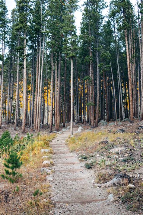 Hiking The Bierstadt Lake Trail Bierstadt Lake Trailhead Roads And