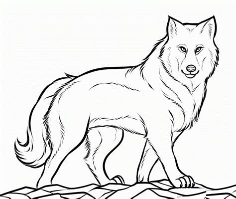 Desenhos De Lobos Para Colorir Lobos Para Pintar Desenhos Para