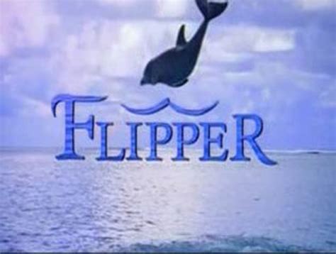 Flipper G N Rique Vid O Dailymotion