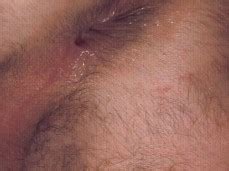 Rick Bauer Spit Roasted Anal Gay Porn Pornhub