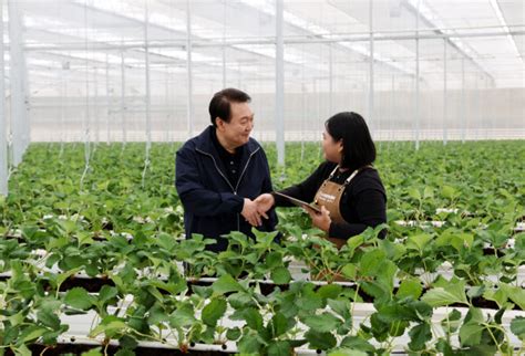 청년농 3만명 육성尹 “청년은 농업의 혁신동력” 서울신문