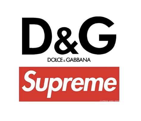 Supreme Dolce Gabbana Collab Dolce Gabbana HD Wallpaper Pxfuel