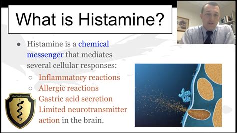 What Are Histamine Liberators The Comprehensive Guide To Understanding