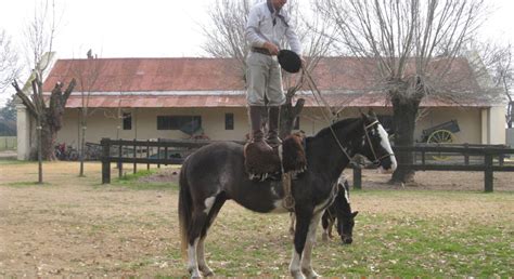 San Antonio de Areco Trip in Small Group - Buenos Aires | FREETOUR.com