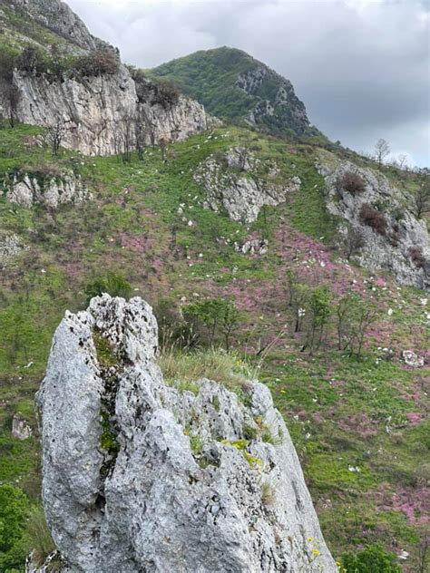 Taburno Trekking Montesarchio Maggio Il Parco Del Monte