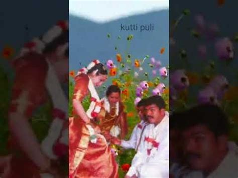 Thalapathy vijay family photos|vijay rare pictures#shorts #kuttipuli ...