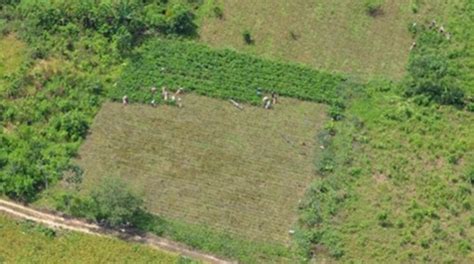 Unodc realizó misiones de campo en La Paz y Cochabamba para el