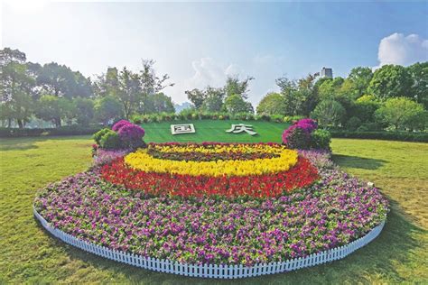 多彩花坛迎国庆 今日苍南