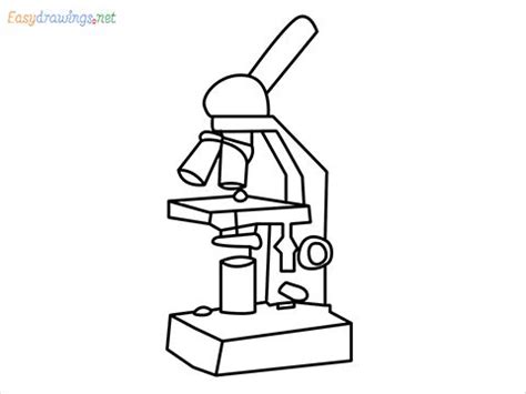 how to draw what you see in a microscope - Satisfyingly Blogging Image ...