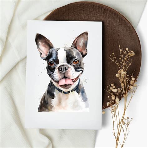 Boston Terrier Cards Etsy