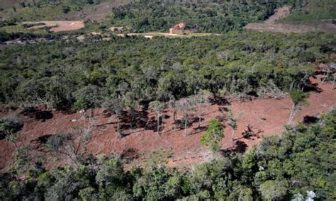 Aumento Da Devasta O Na Mata Atl Ntica Pode Impactar Diretamente