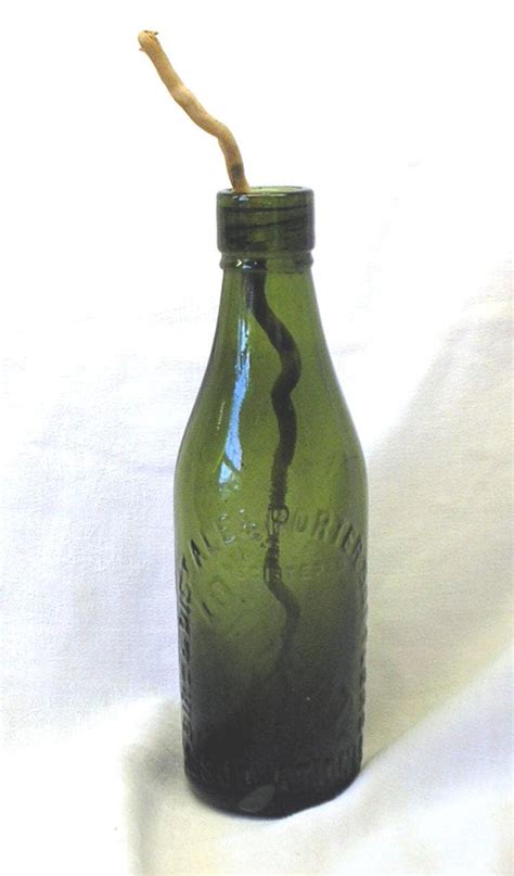 Antique Green Beer Bottle Victorian Edwardian Birbot Cs And Etsy