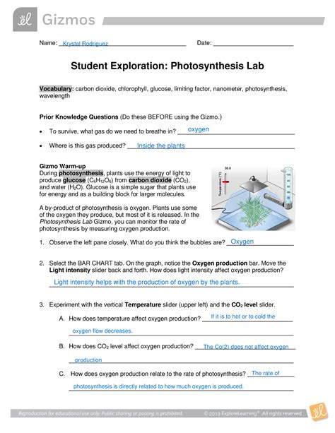 Photosynthesis Lab SE - Gizmo activity worksheet - Name ...