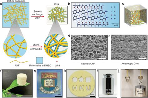 Ultrastrong And Multifunctional Aerogels With Hyperconnective Network