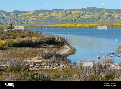 Soda Lake, California, USA - April 10, 2023. Soda Lake full of water, and wildflowers bloom at ...