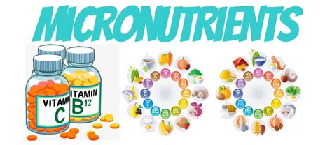 Micronutrients – Nutrition Skinny™