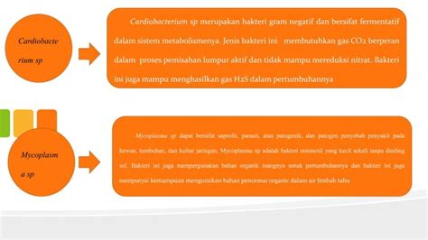 Peranan Mikroba Terhadap Penangan Limbah Pertanian Kelompok 1pptx