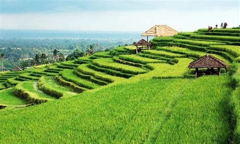 12 Destinasi Agrowisata Terbaik Di Indonesia » Taman Inspirasi SAFA