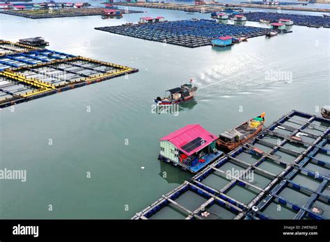 Ningde Chine Janvier Des Travailleurs Conduisent Un Bateau