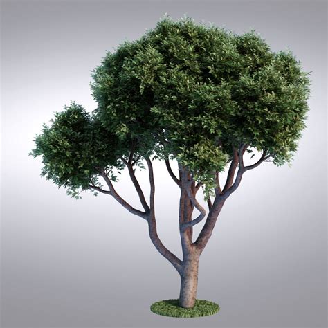 Hi Realistic Series Tree 115 3d Model 39 Max Obj Free3d