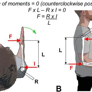 Biomechanical Model With Schematic A External Rotation Model B