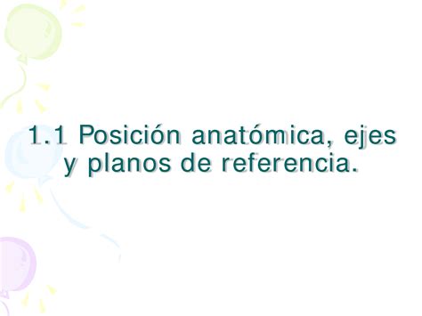 SOLUTION Tema 1 1 Localizacion De Estructuras Anat Micas Posicion Anat