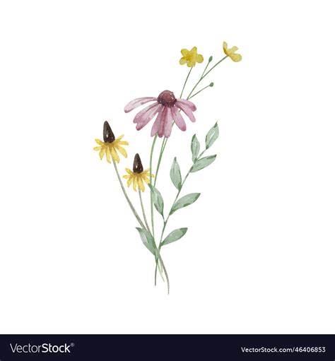 Watercolor bouquet of wildflowers Royalty Free Vector Image