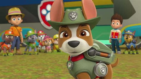 Paw Patrol Tracker Jungle Rescue Nick Jr Video For Children Kids